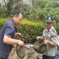 “汛”速行动｜坚守防汛第一线，不惧风雨物业人