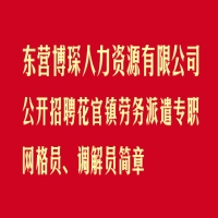东营博琛人力资源有限公司 公开招聘花官镇劳务派遣专职网格员、调解员简章