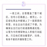 【风雪有我】博琛物业人 情暖业主心