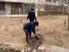 因爱坚守、守护家园-记录博琛物业人的日常